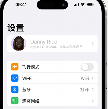 民丰appleID维修服务iPhone设置中Apple ID显示为灰色无法使用 