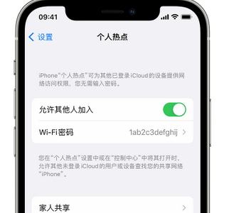 民丰apple服务站点分享iPhone上个人热点丢失了怎么办