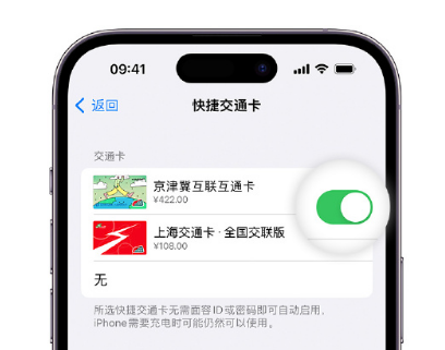 民丰apple维修点分享iPhone上更换Apple Pay快捷交通卡手绘卡面 