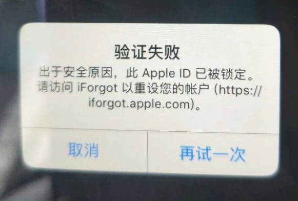 民丰iPhone维修分享iPhone上正常登录或使用AppleID怎么办 