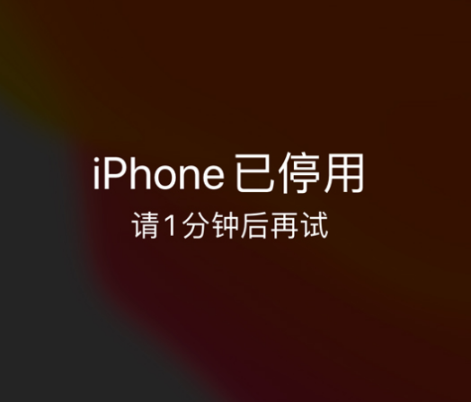 民丰苹果手机维修分享:iPhone 显示“不可用”或“已停用”怎么办？还能保留数据吗？ 