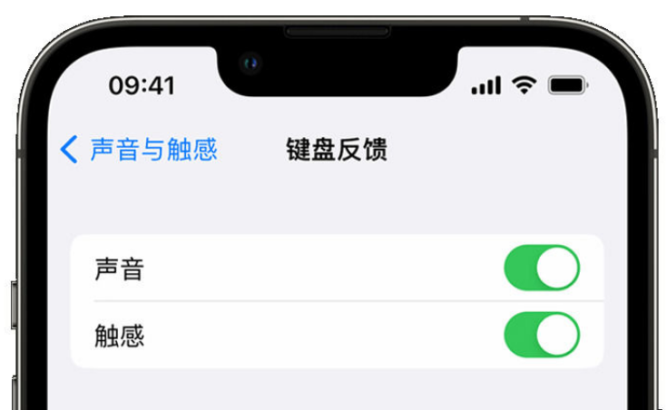 民丰苹果手机维修分享iPhone 14触感键盘使用方法 