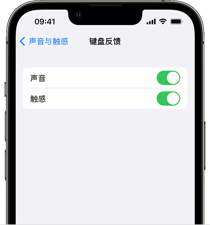 民丰苹果14维修店分享如何在 iPhone 14 机型中使用触感键盘 