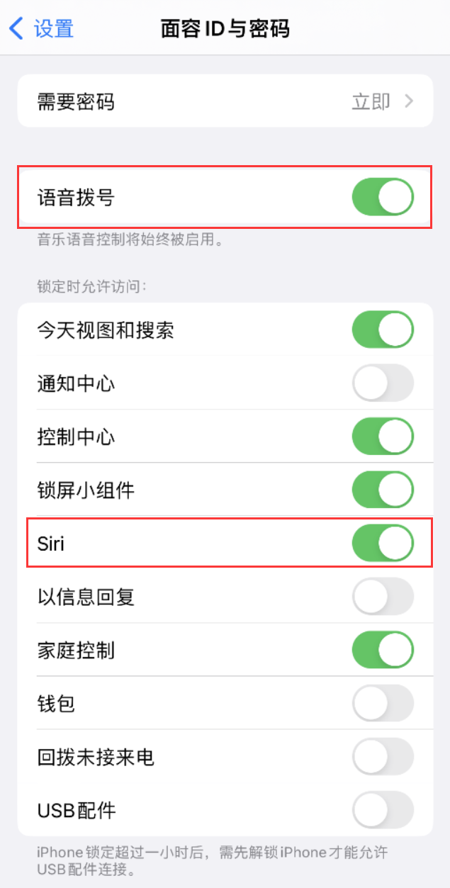 民丰苹果维修网点分享不解锁 iPhone 的情况下通过 Siri 拨打电话的方法 