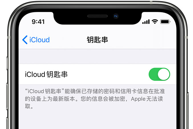 民丰苹果手机维修分享在 iPhone 上开启 iCloud 钥匙串之后会储存哪些信息 