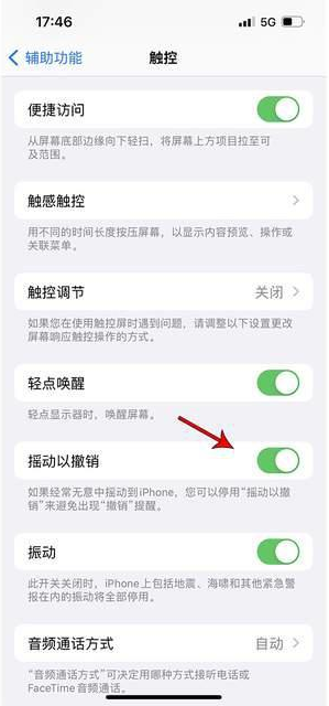 民丰苹果手机维修分享iPhone手机如何设置摇一摇删除文字 